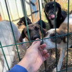 20251004-fotos-alma-24