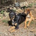 20251004-fotos-anika-2