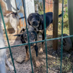 20251004-fotos-anika-6