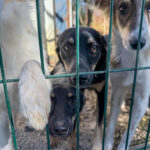 20251004-fotos-anika-8