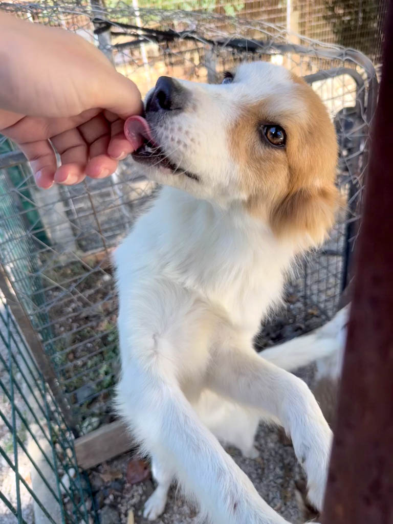 20251004-fotos-annemarie-02