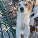 20251004-fotos-annemarie-03