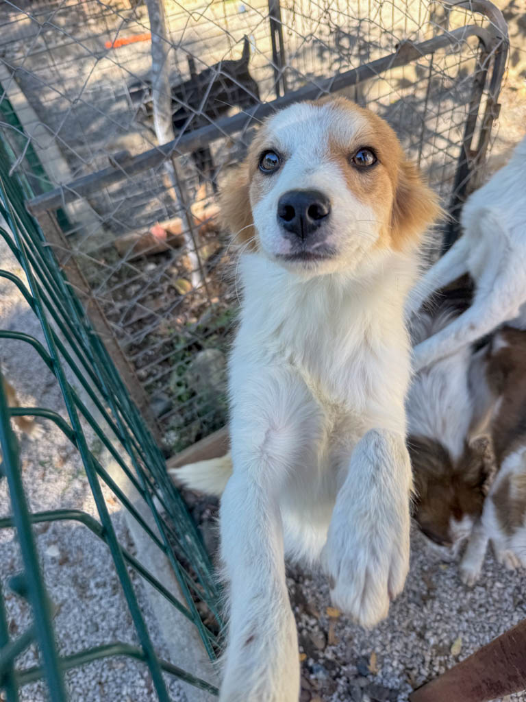 20251004-fotos-annemarie-03