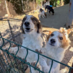 20251004-fotos-annemarie-05