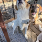 20251004-fotos-annemarie-06