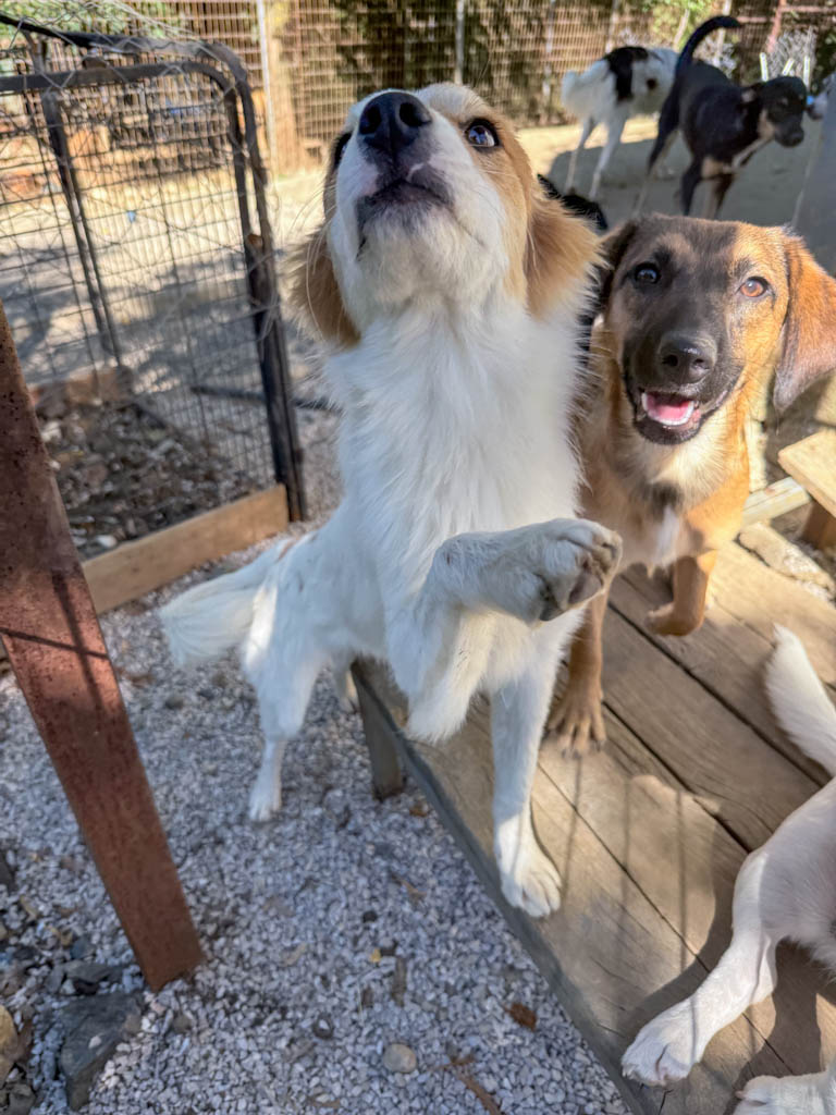 20251004-fotos-annemarie-06