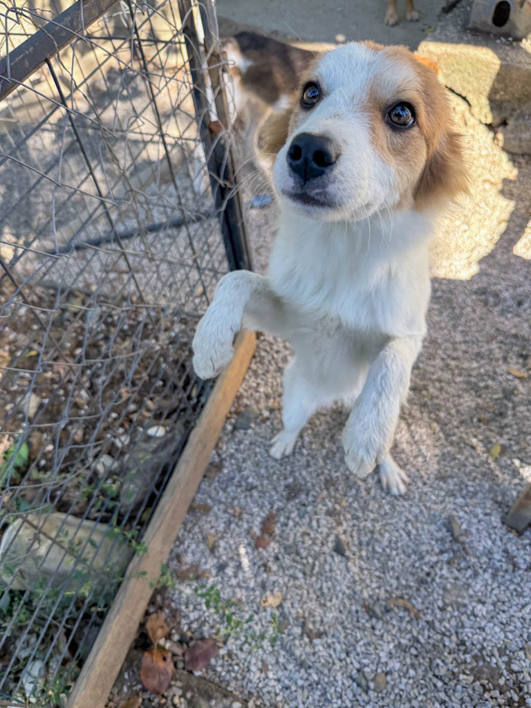 20251004-fotos-annemarie-10