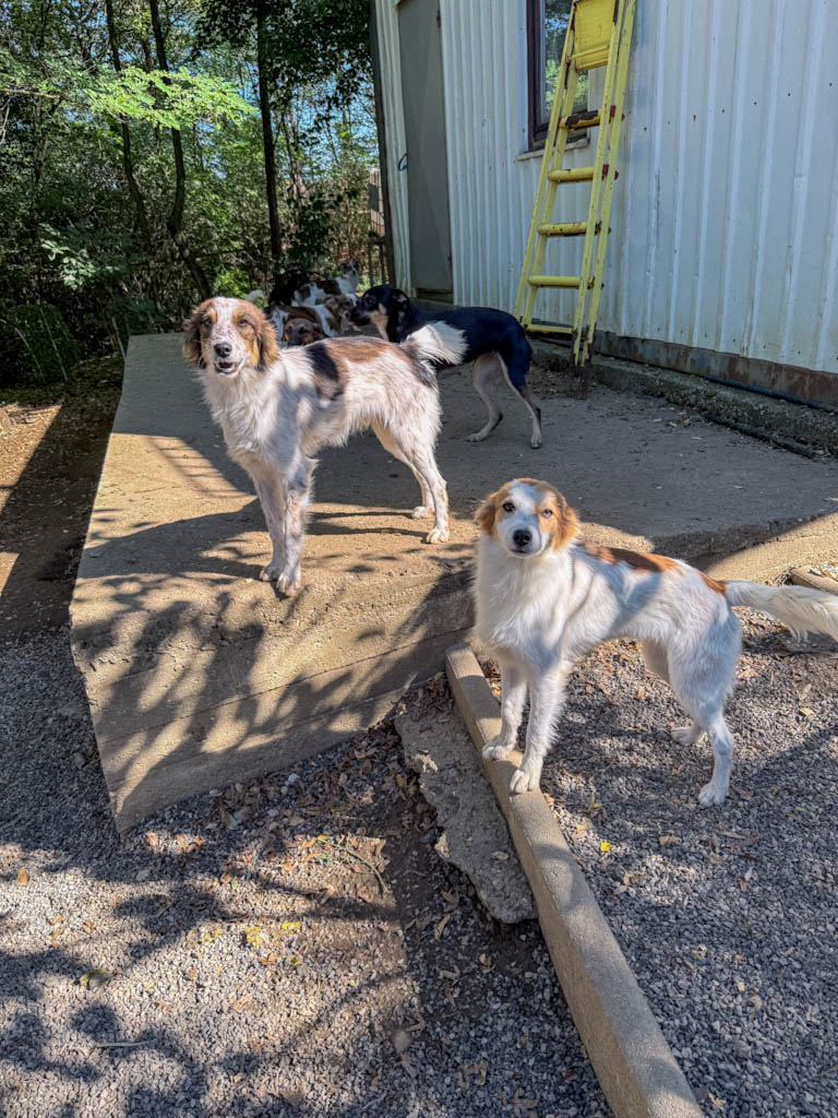 20251004-fotos-annemarie-11