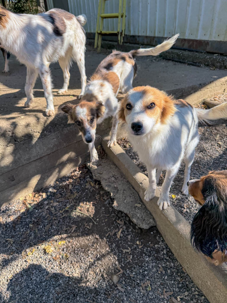 20251004-fotos-annemarie-13