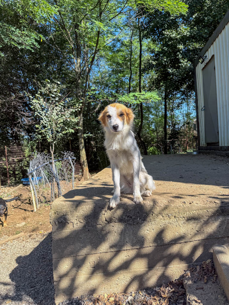 20251004-fotos-annemarie-14