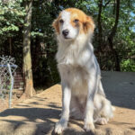 20251004-fotos-annemarie-15