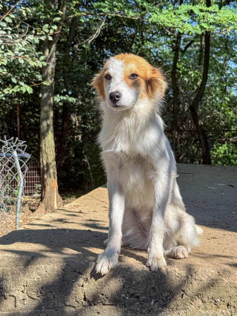 20251004-fotos-annemarie-15