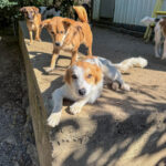 20251004-fotos-annemarie-16