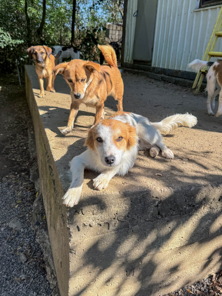 20251004-fotos-annemarie-16