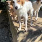 20251004-fotos-annemarie-17