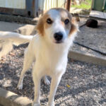 20251004-fotos-annemarie-18