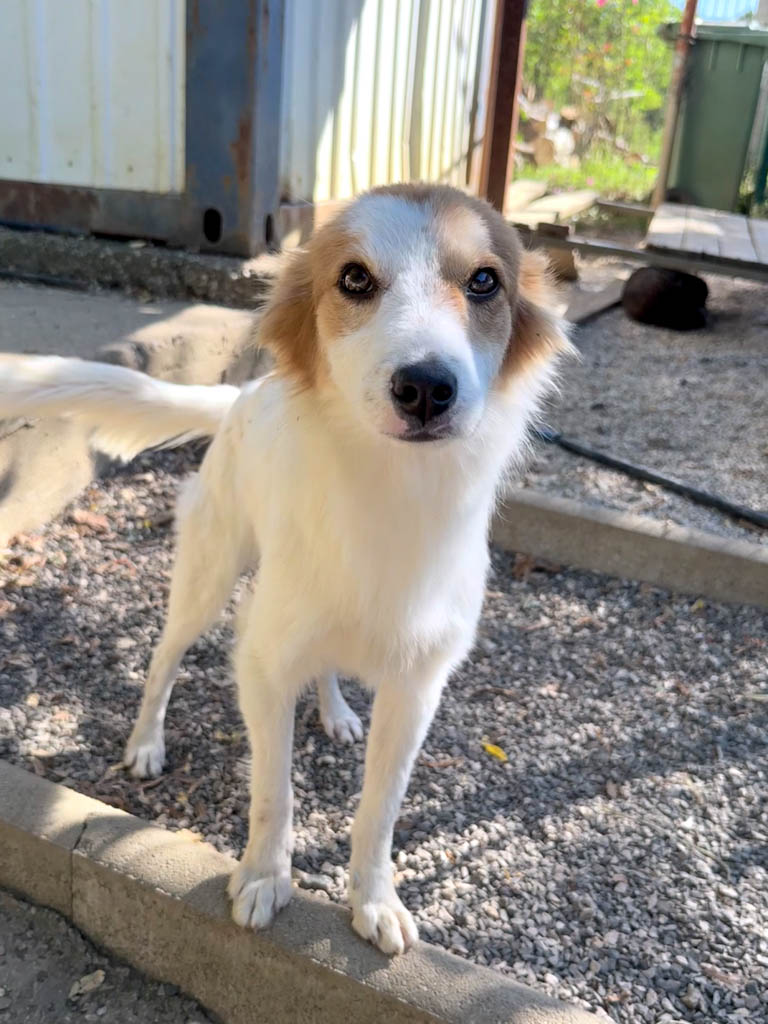 20251004-fotos-annemarie-18