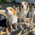 20251004-fotos-annemarie-21