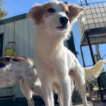 20251004-fotos-annemarie-22