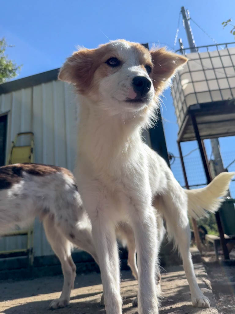 20251004-fotos-annemarie-22