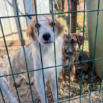 20251004-fotos-annemarie-23