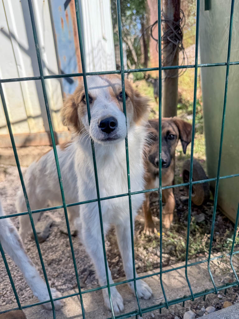 20251004-fotos-annemarie-23