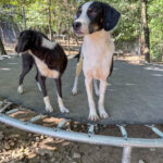 20251004-fotos-aurelio-1