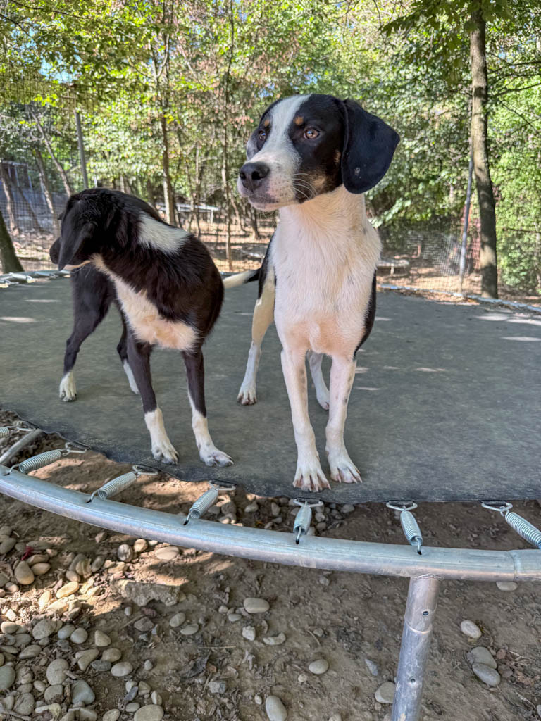 20251004-fotos-aurelio-1