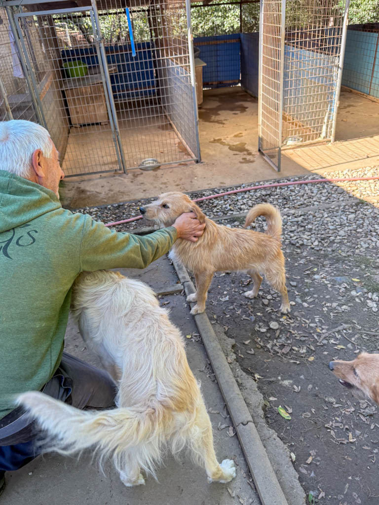 20251004-fotos-darcy-1