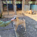 20251004-fotos-darcy-2