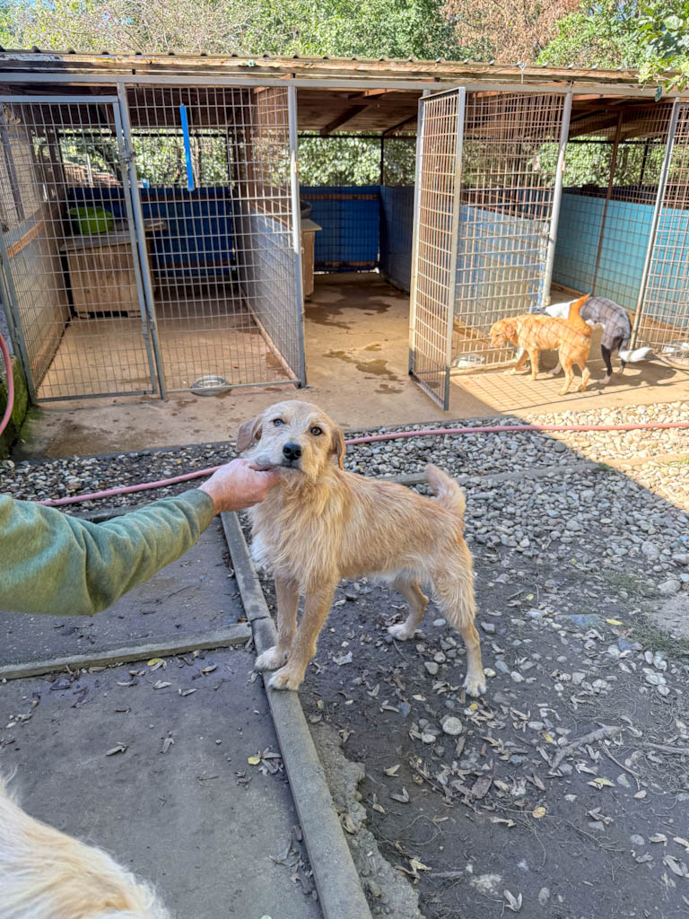 20251004-fotos-darcy-2