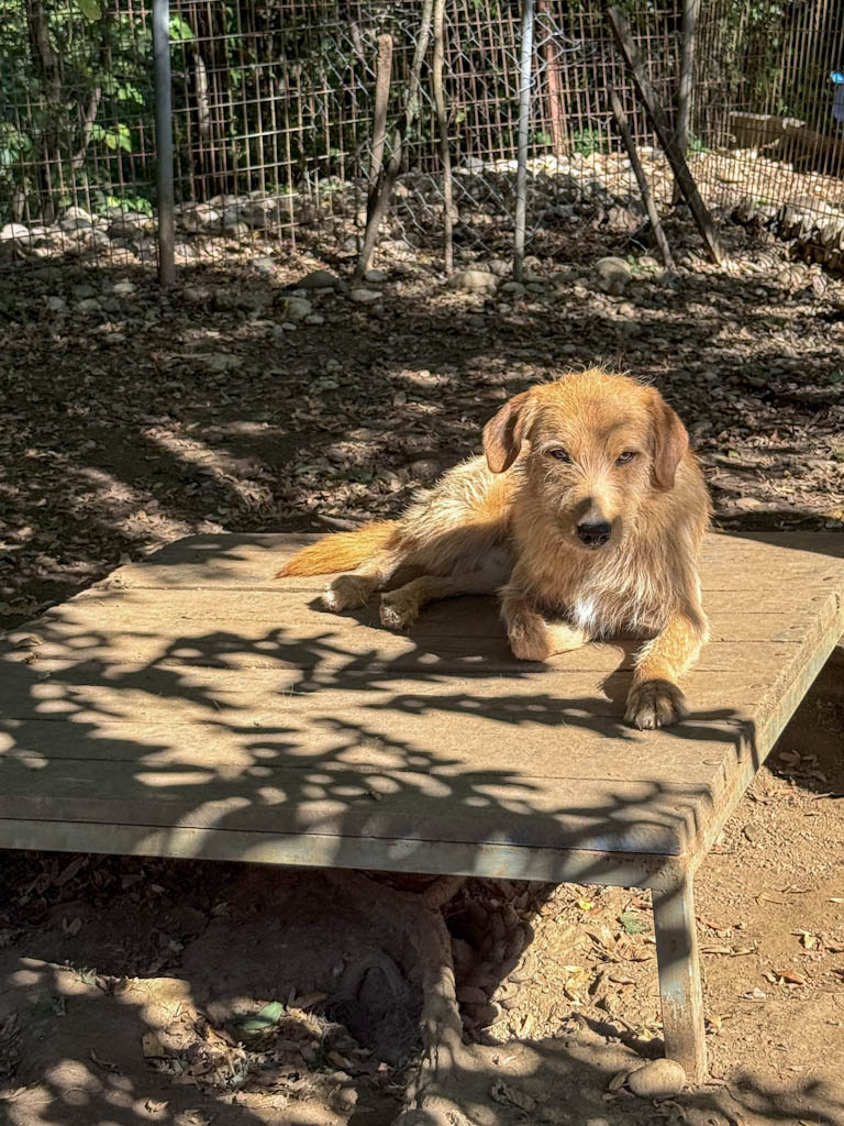 20251004-fotos-darcy-4