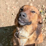 20251004-fotos-dario-1