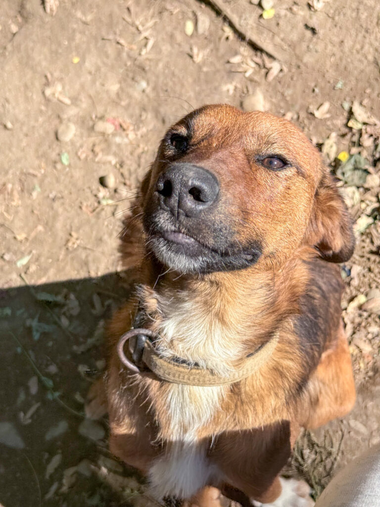 20251004-fotos-dario-1