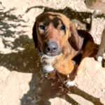 20251004-fotos-dario-3