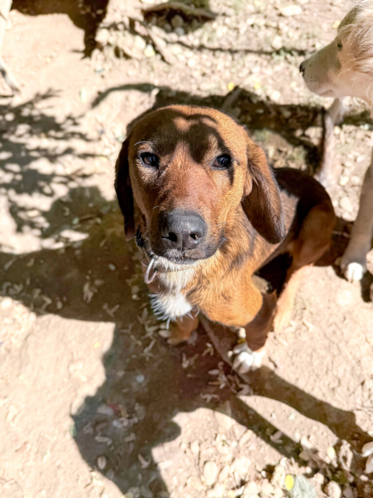 20251004-fotos-dario-3