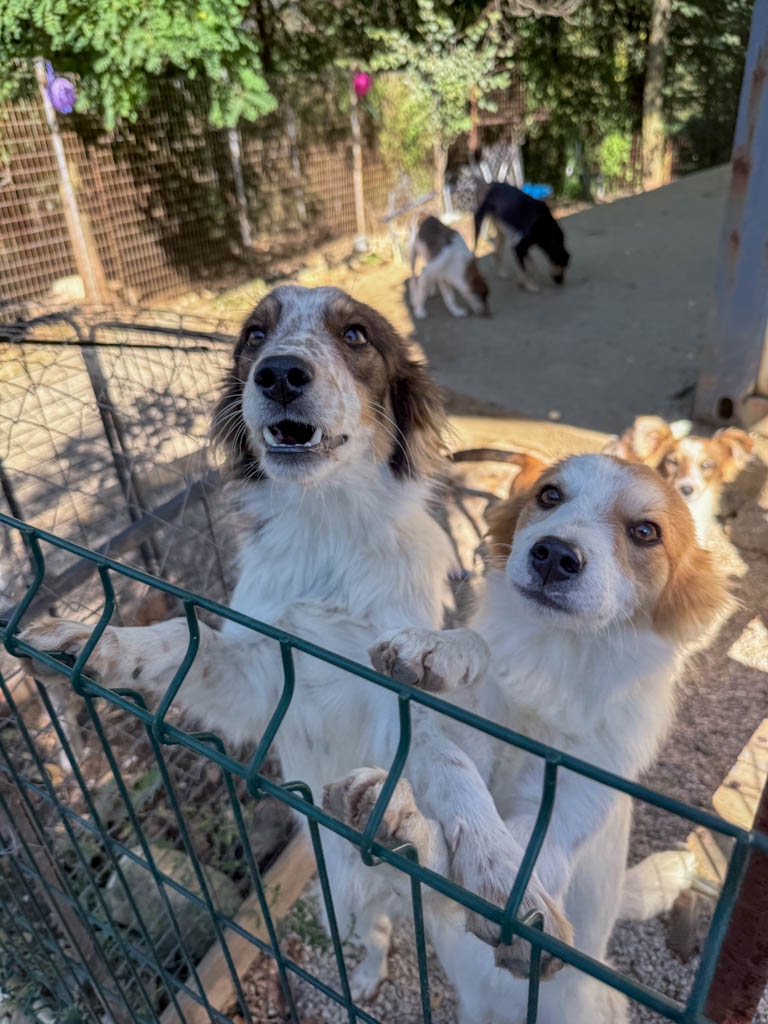 20251004-fotos-emil-3