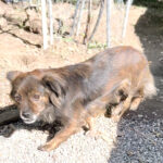 20251004-fotos-emilija-1