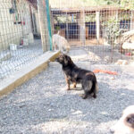 20251004-fotos-emilija-3