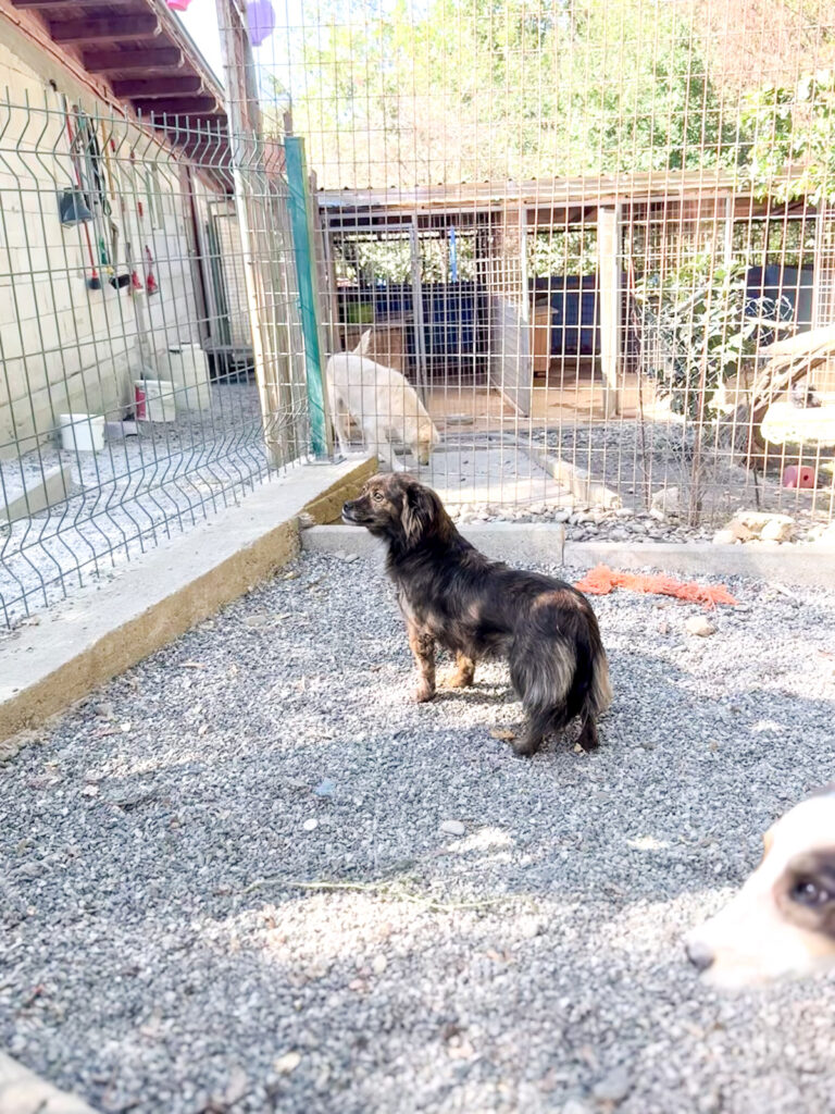 20251004-fotos-emilija-3