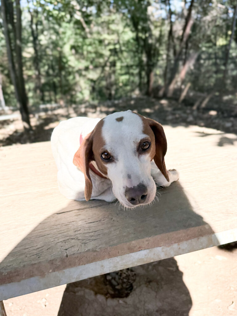 20251004-fotos-fico-2