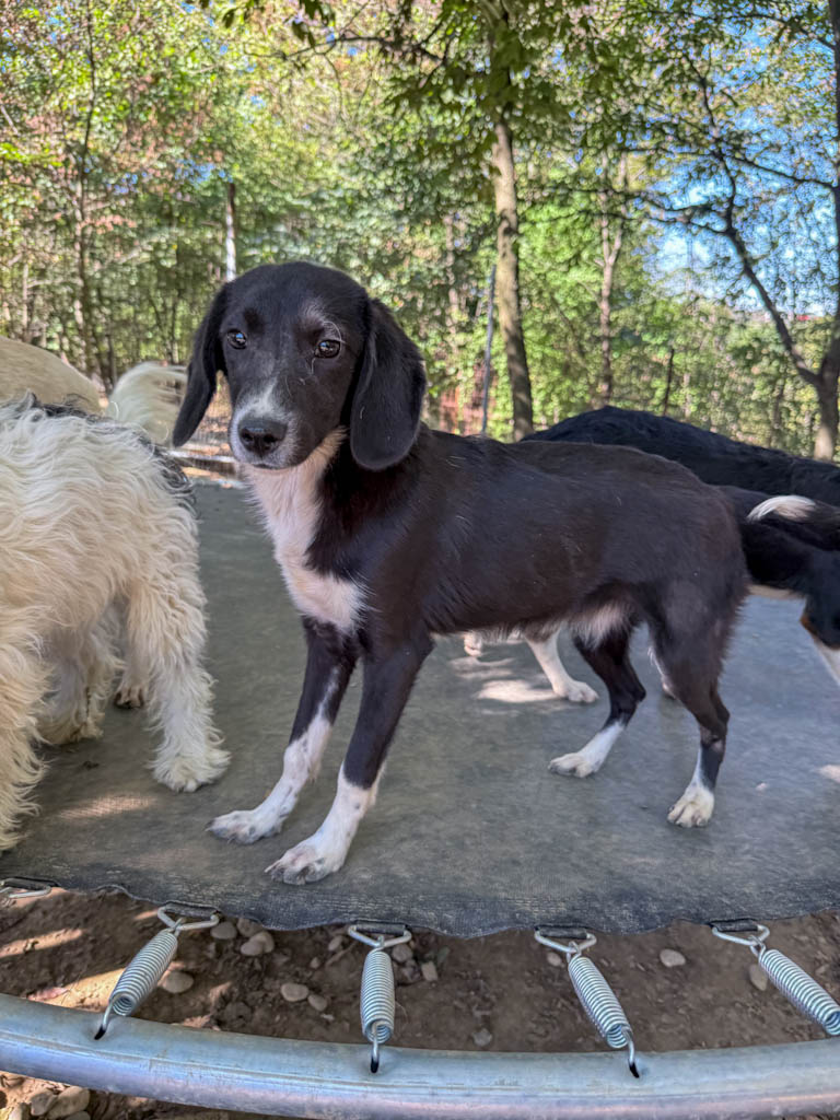 20251004-fotos-flavia-2