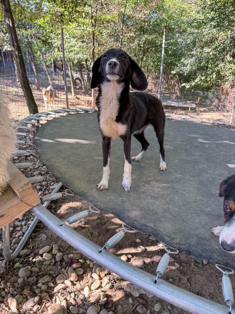 20251004-fotos-flavia-3