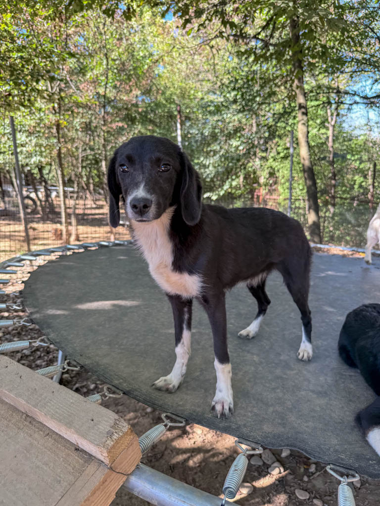 20251004-fotos-flavia-4