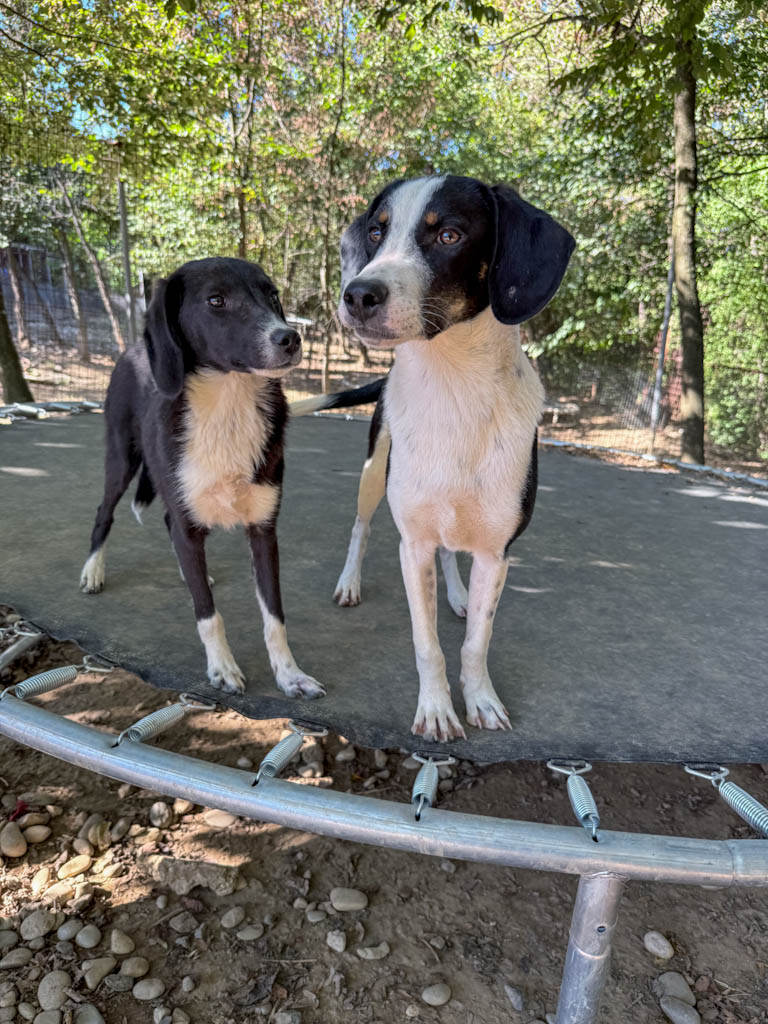 20251004-fotos-flavia-5