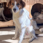 20251004-fotos-friedrich-1