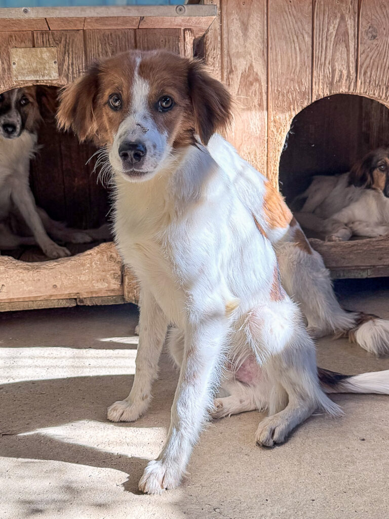 20251004-fotos-friedrich-1