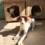 20251004-fotos-friedrich-2