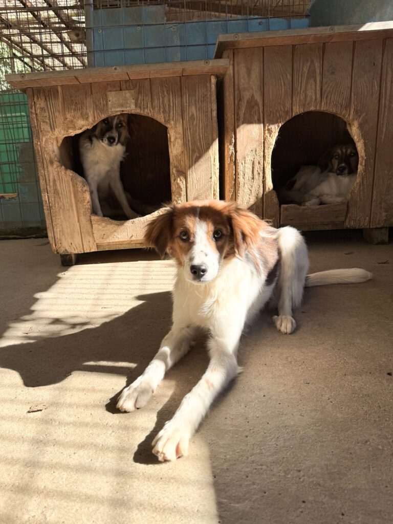 20251004-fotos-friedrich-2