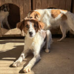 20251004-fotos-friedrich-4